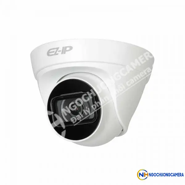 Camera IP hồng ngoại 4.0MP DAHUA DS2431TDIP-S2