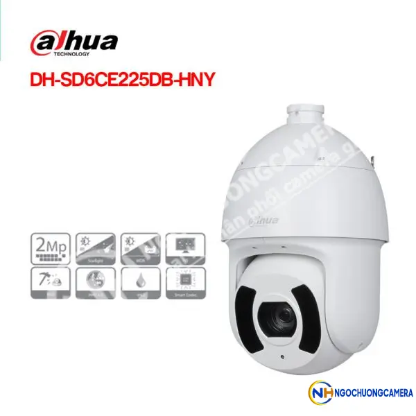 Camera IP PTZ 2MP DAHUA DH-SD6CE225DB-HNY