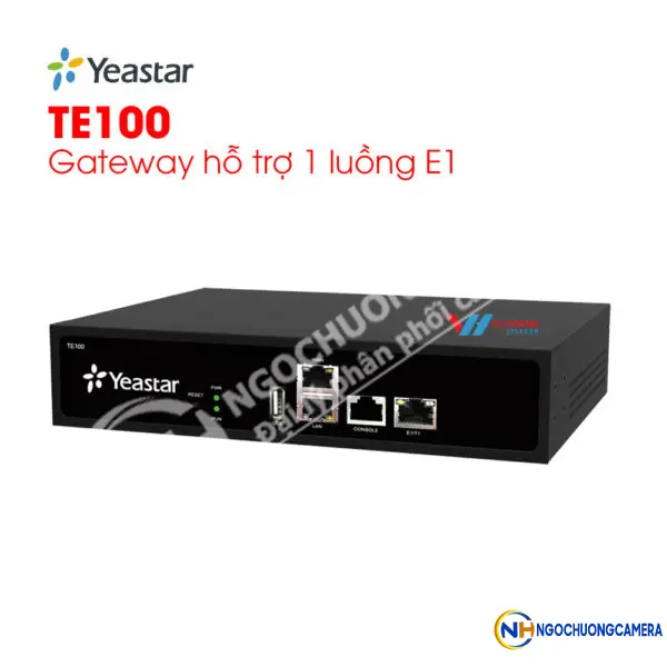Gateway Yeastar TE100